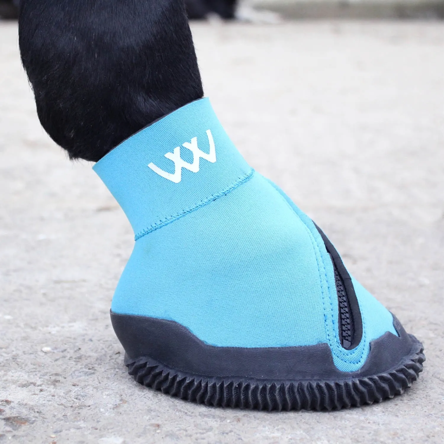 Woof Wear Medical Hoof Boot