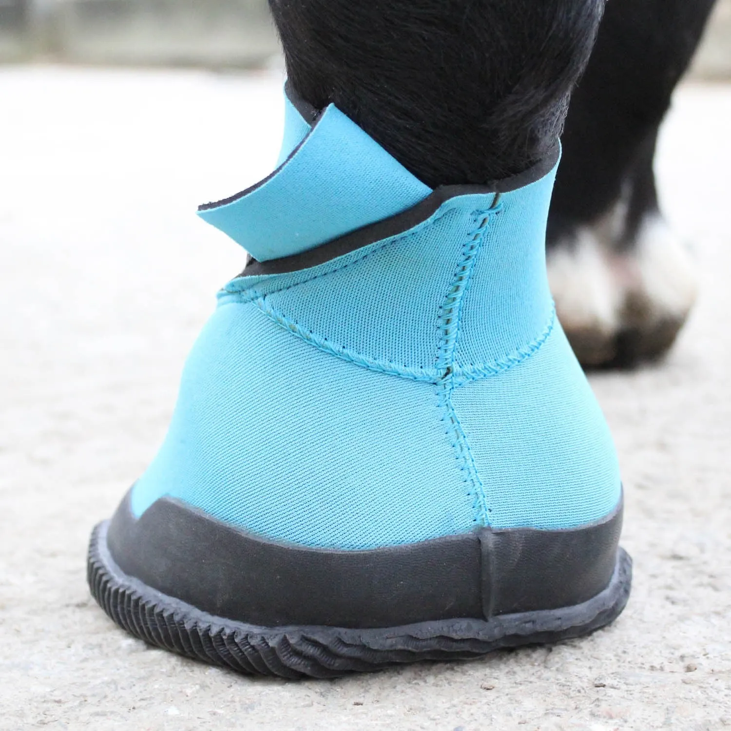 Woof Wear Medical Hoof Boot